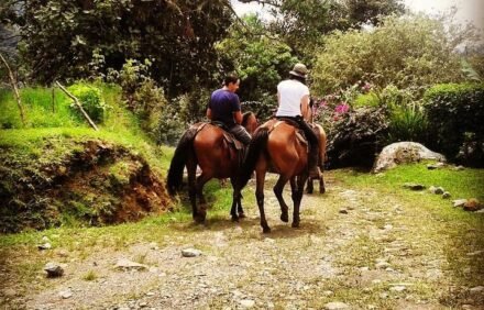 Queveri Horseback Riding Tours